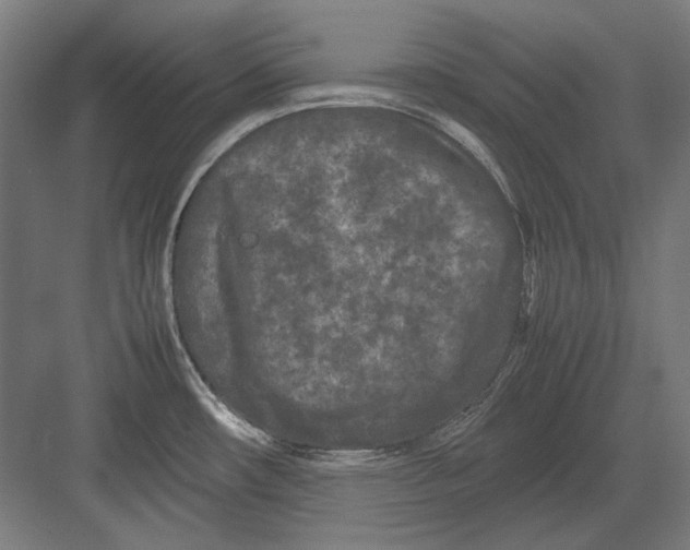 X0000082171482200702092230