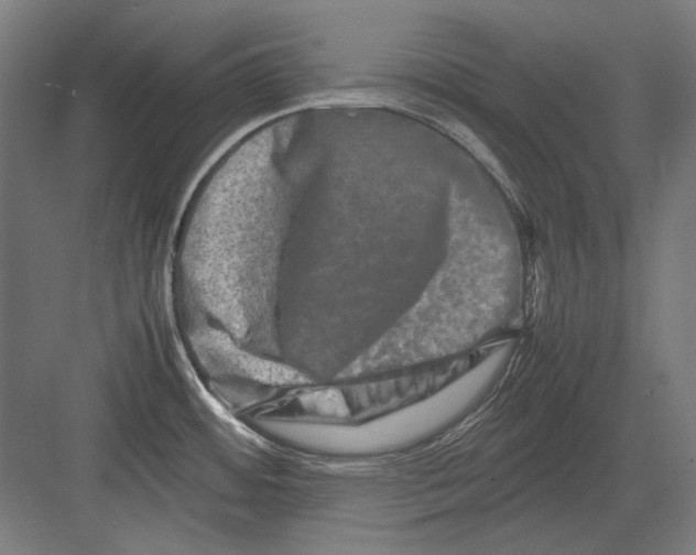 X0000082171484200702092230