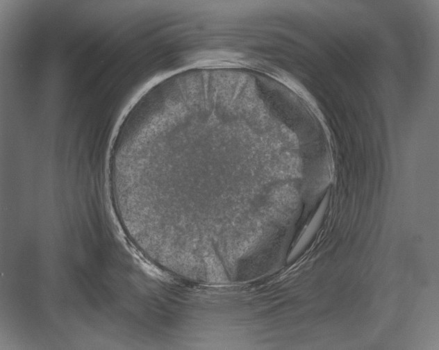 X0000082171488200702092230