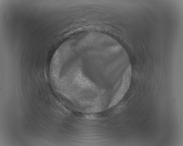 X0000082171490200702092230