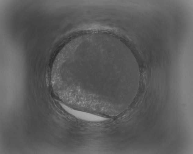 X0000082171493200702092230