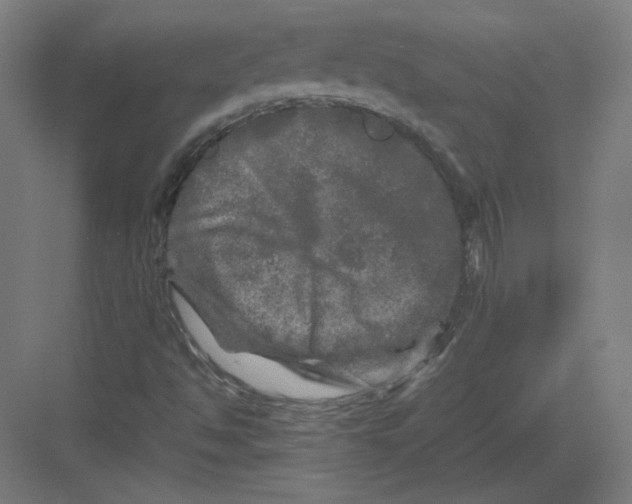 X0000082171494200702092230