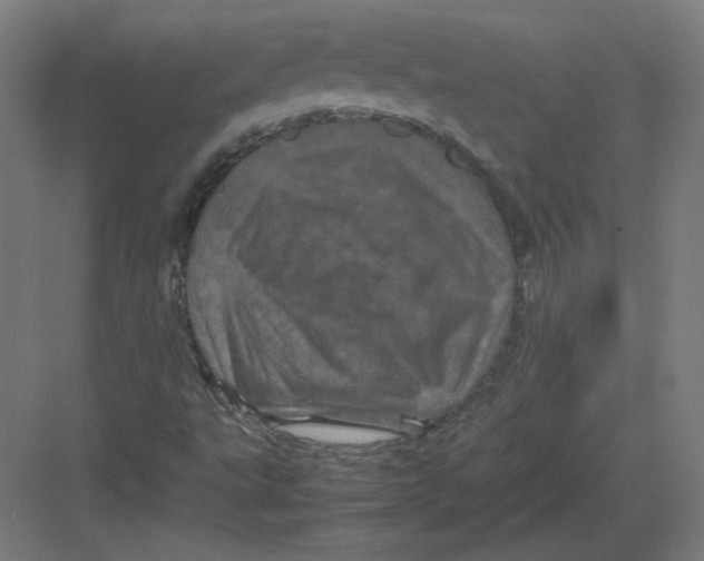 X0000082171495200702092230