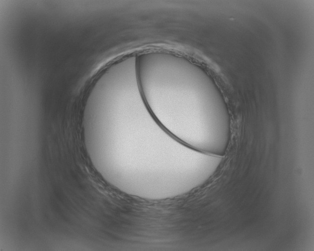 X0000082171496200702092230