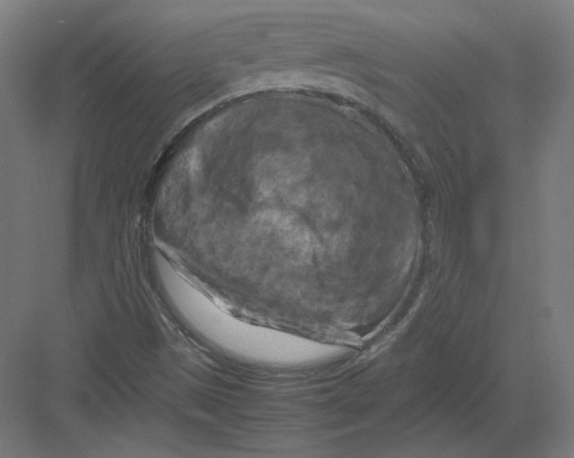 X0000082171497200702092230