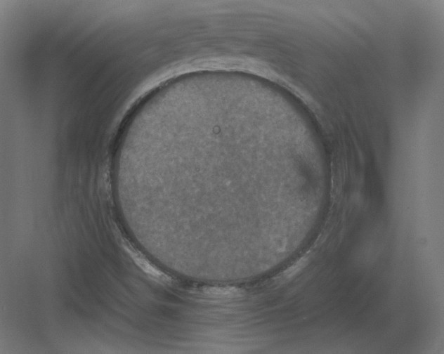 X0000082171498200702092230