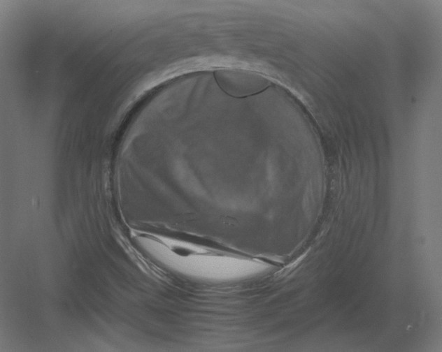 X0000082171499200702092230