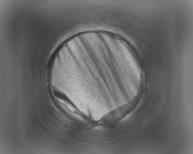 X0000082171501200702092230