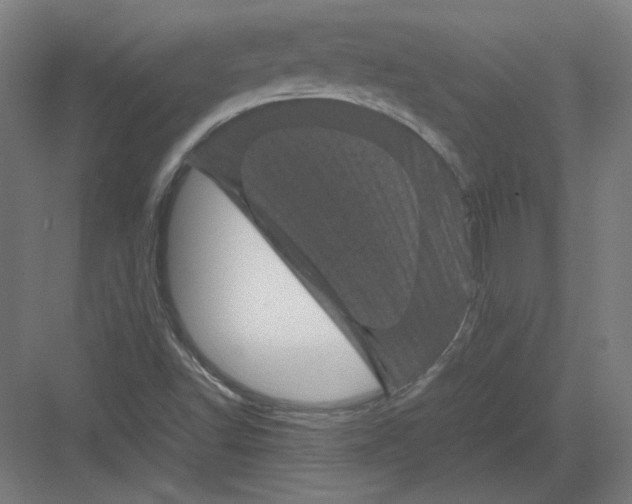 X0000082171502200702092230