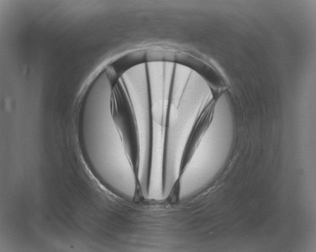 X0000082171504200702092230