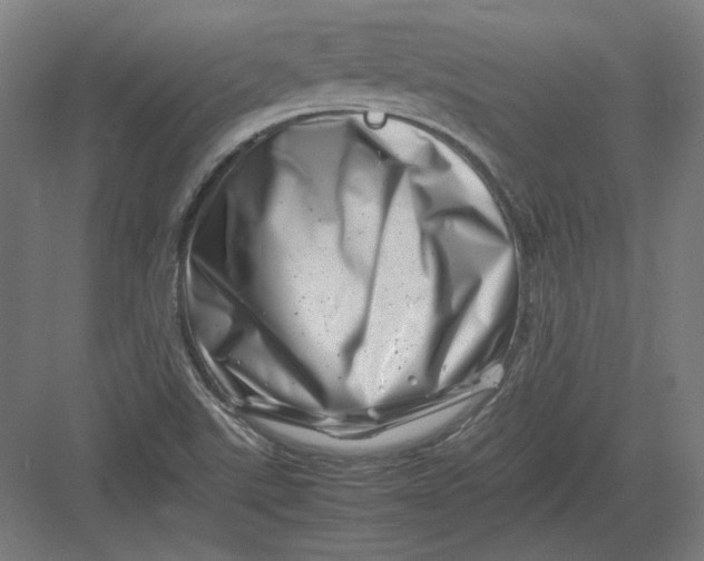 X0000082171507200702092230