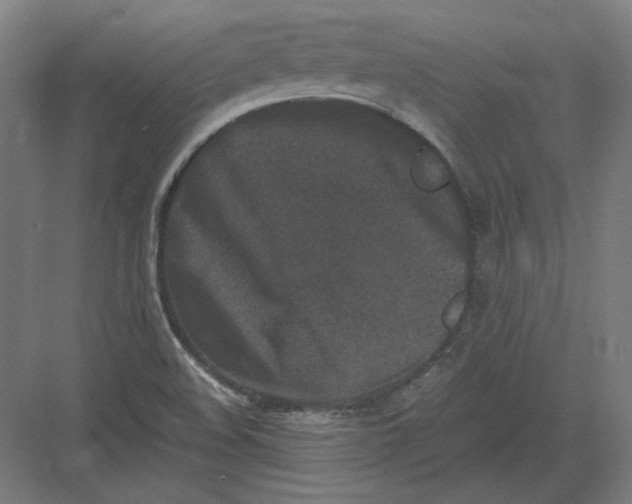 X0000082171508200702092230