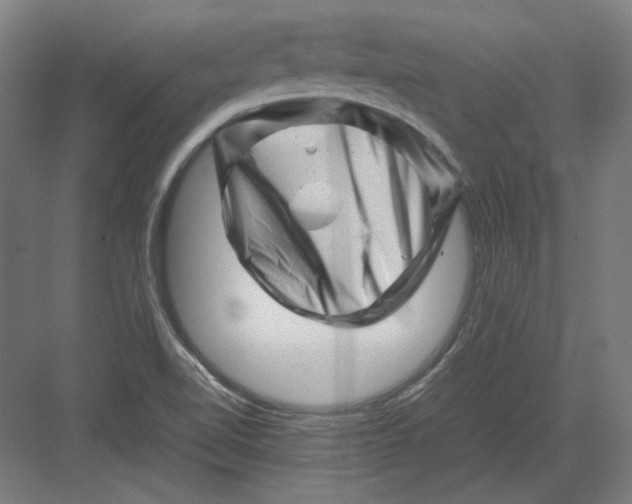 X0000082171510200702092230