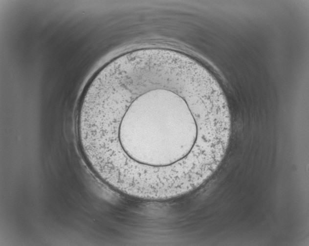 X0000082171514200702092230