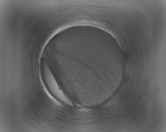 X0000082171515200702092230