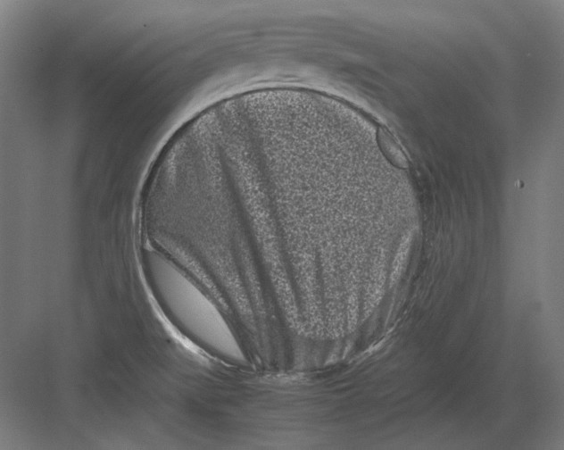 X0000082171519200702092230