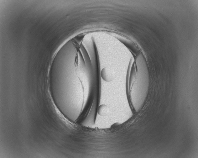 X0000082171524200702092230