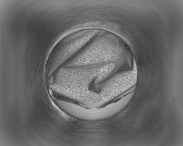 X0000082171527200702092230