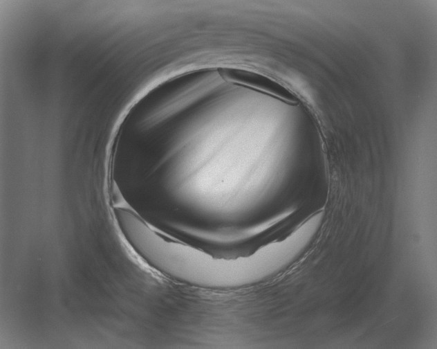 X0000082171528200702092230