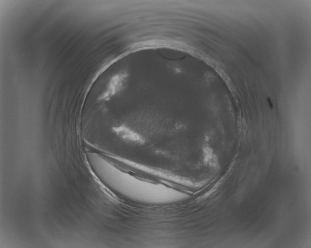 X0000082171529200702092230