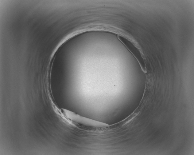 X0000082171530200702092230