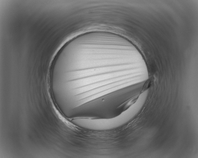 X0000082171531200702092230