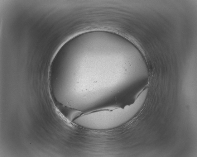 X0000082171532200702092230