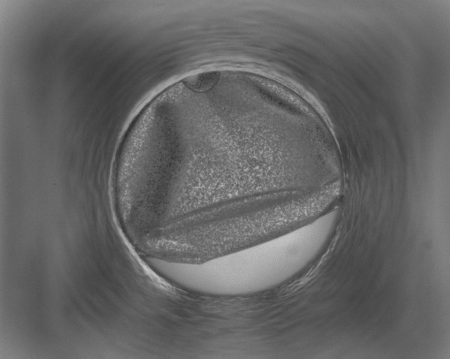 X0000082171533200702092230