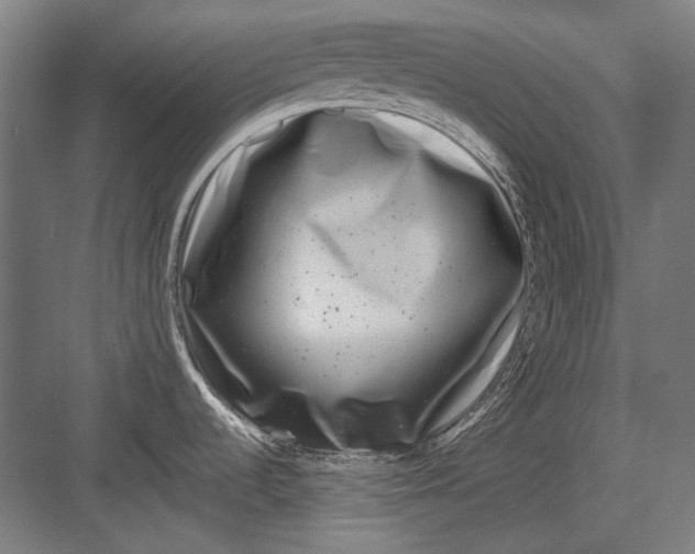 X0000082171536200702092230