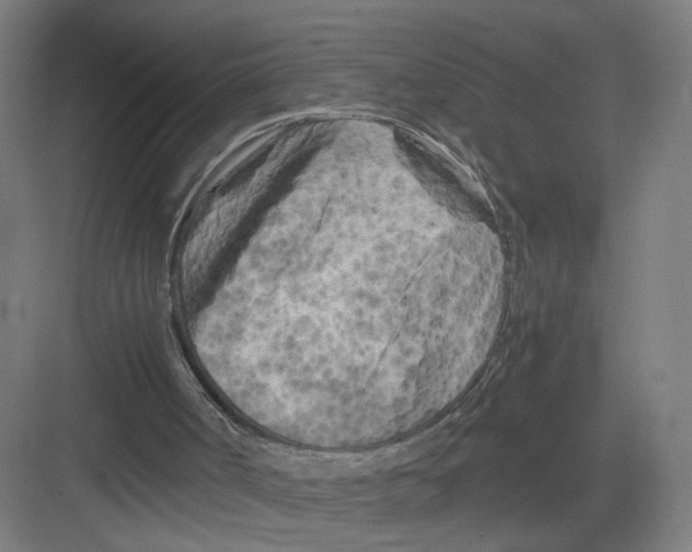 X0000082170002200702162313