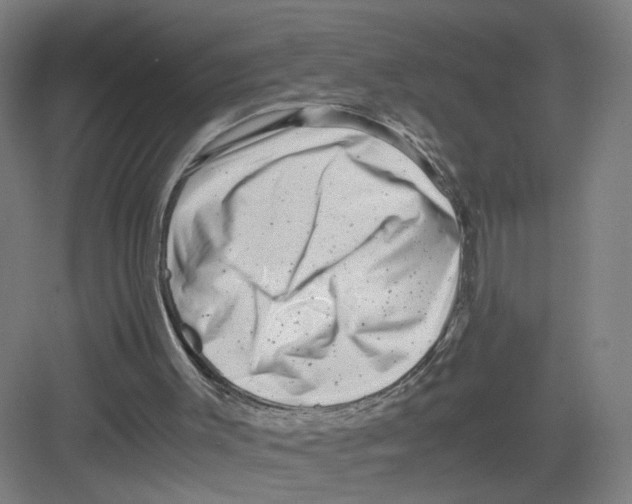 X0000082170003200702162313