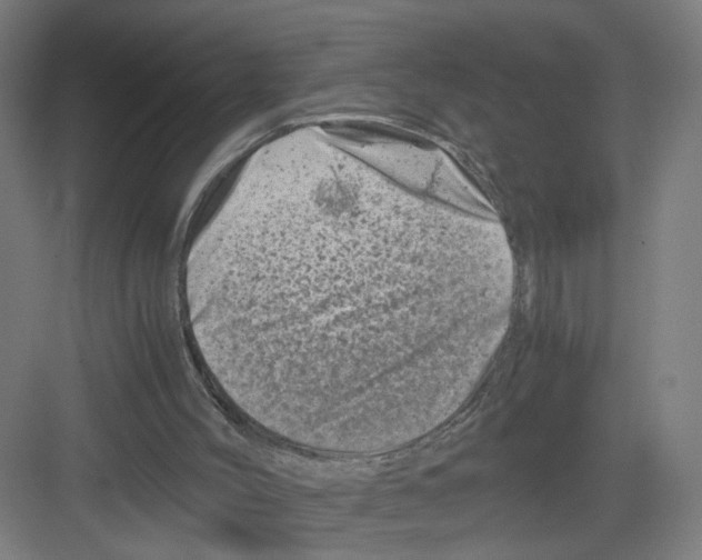 X0000082170004200702162313