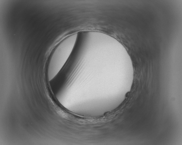 X0000082170005200702162313