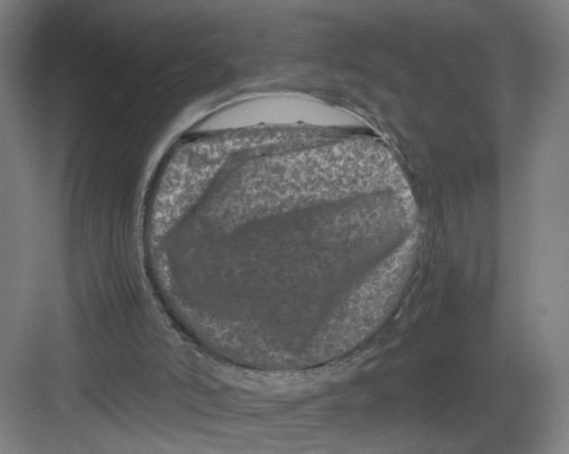 X0000082170006200702162313