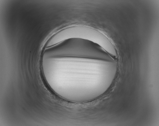 X0000082170007200702162313