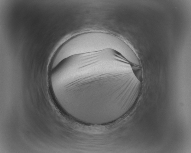 X0000082170008200702162313