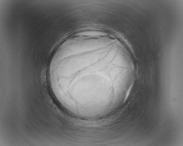 X0000082170010200702162313