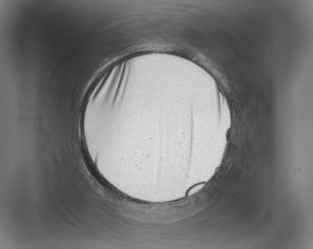 X0000082170011200702162313