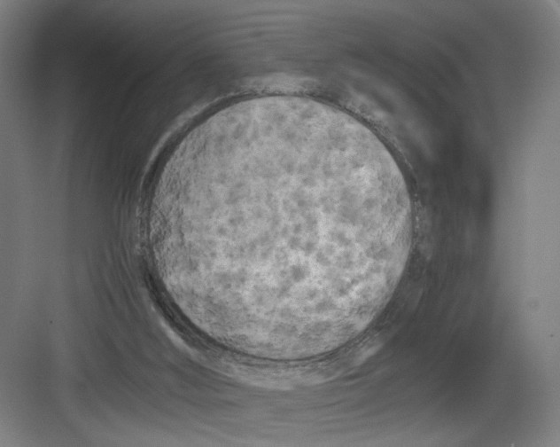 X0000082170012200702162313