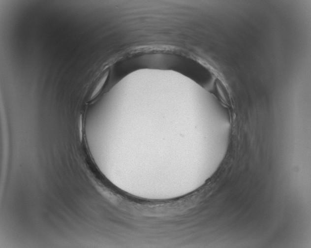 X0000082170013200702162313