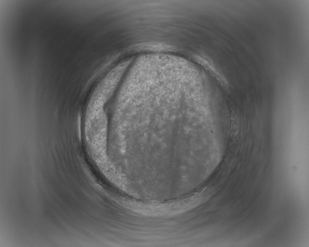 X0000082170014200702162313