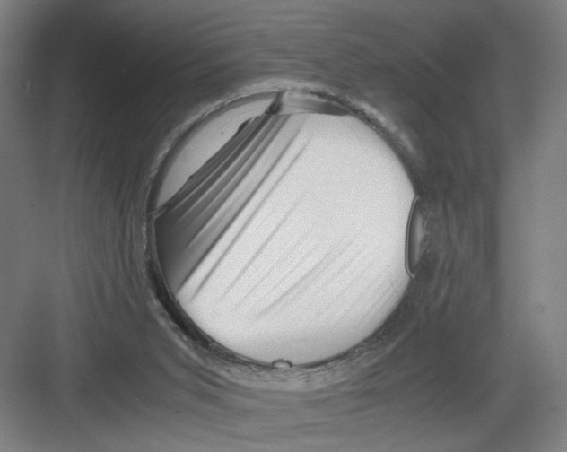 X0000082170015200702162312