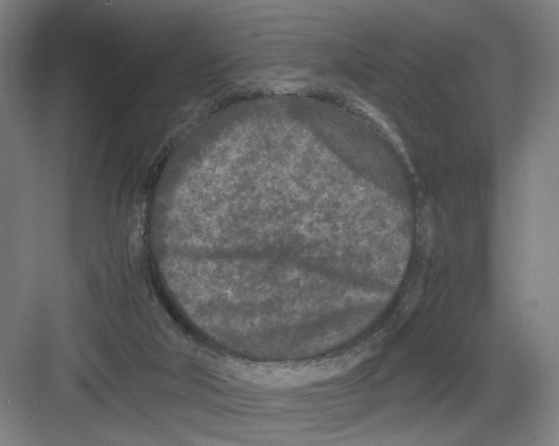 X0000082170018200702162312