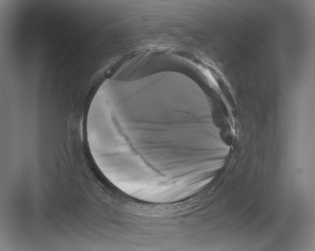 X0000082170019200702162312