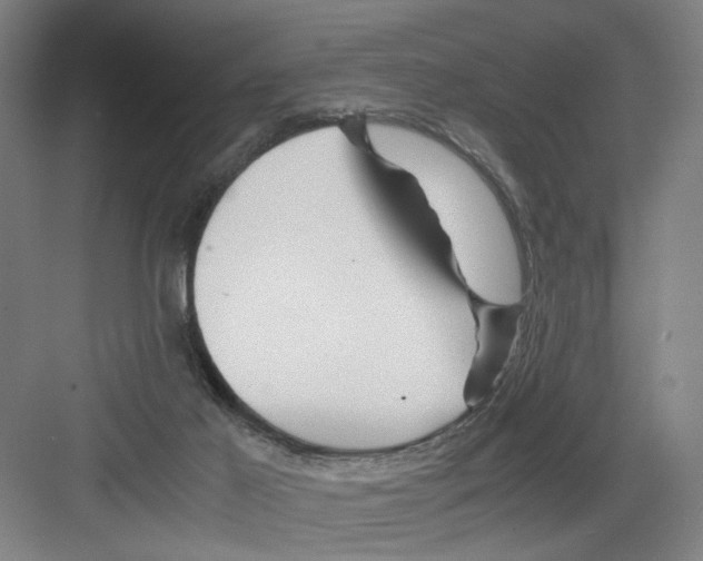 X0000082170021200702162312