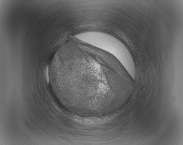 X0000082170022200702162312