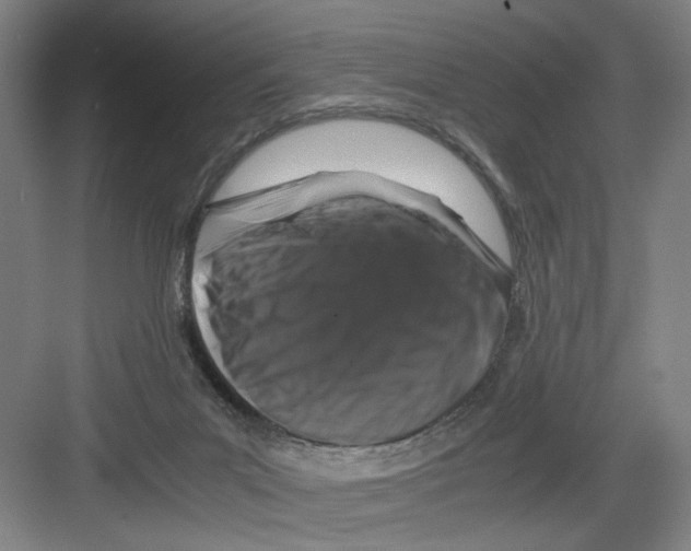 X0000082170023200702162312