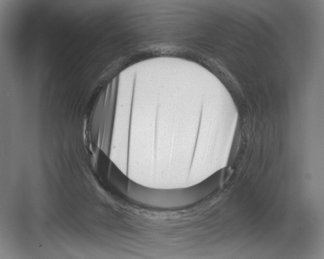 X0000082170024200702162312