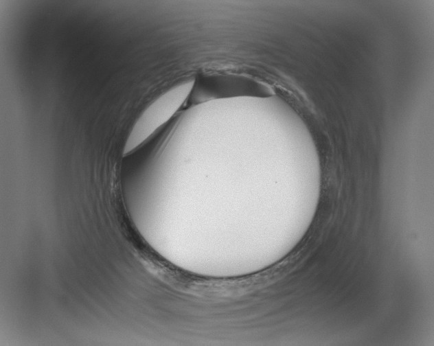 X0000082170025200702162312