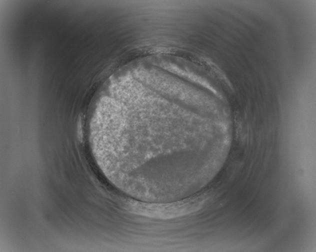 X0000082170026200702162312